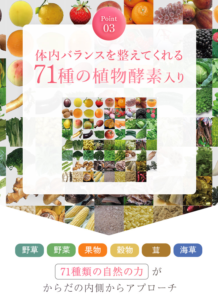 71種類の植物酵素入り