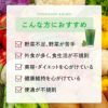 与那国青汁